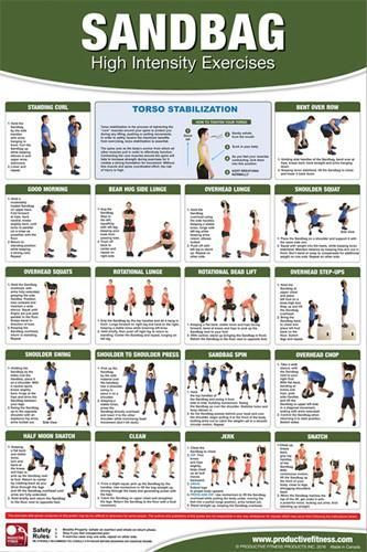 001_Sandbags High-Intensity Exercises Professional Fitness Wall Chart Poster - Productive Fitn...jpg