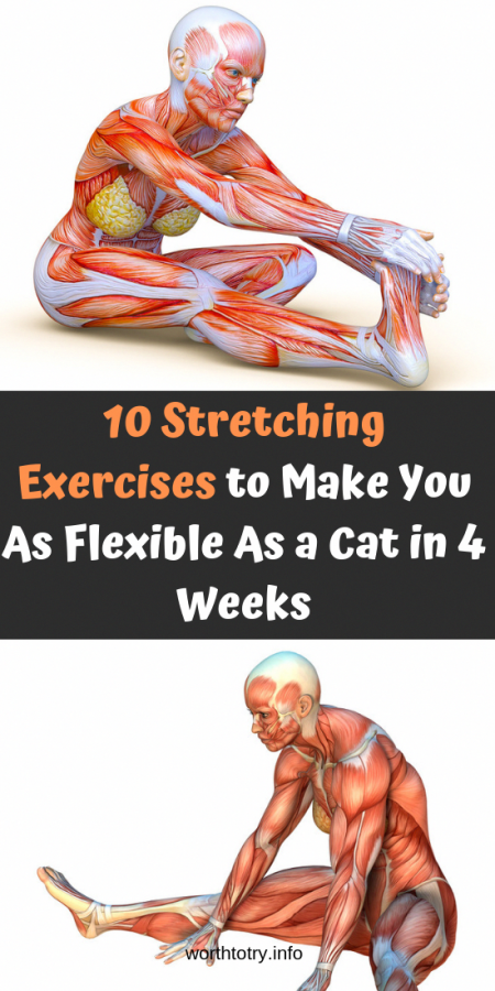 10 Stretching Exercises to Make You As Flexible As a Cat in 4 Weeks ! _ The Secret Is Here #wo...png