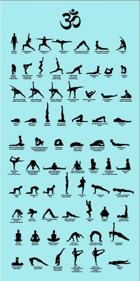 68 VECTOR Yoga Poses, each with its English and Sanskrit names _ DIGITAL DOWNLOAD#digital #dow...jpg