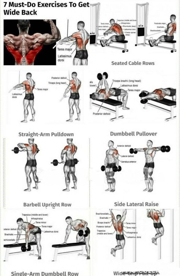 7 Must Do Exercises To Get Wide Back Fitness Egzersizleri, Karın Egzersizi, Spor Salonu Egzers...jpg