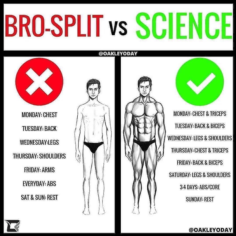 __TRAINING WITH SCIENCE by @oakleyoday___ ._ __So, the bro-split is not necessarily a bad thin...jpg