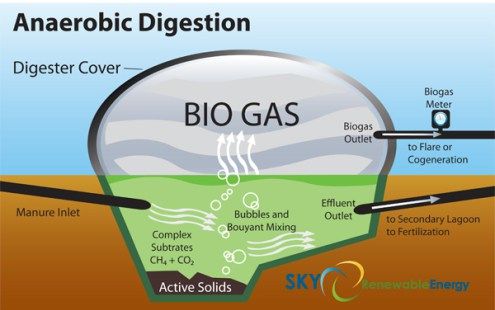 a diagram showing the different types of biogas.jpg