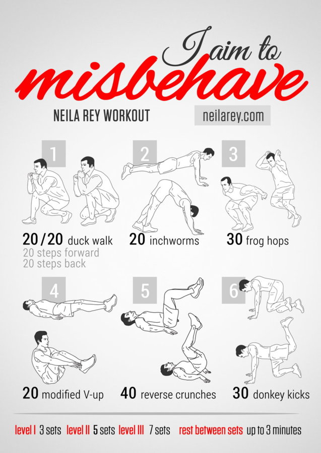 aim-to-misbehave-workout.jpg