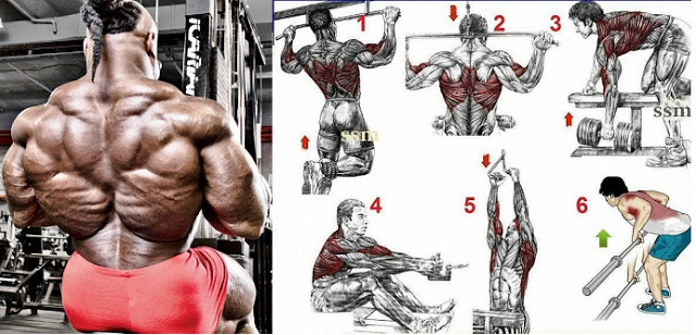Best Back Exercises.jpg