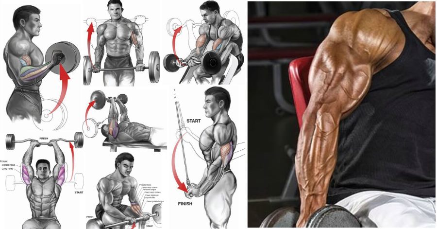 best-bicep-and-tricep-exercises-for-mass.jpg