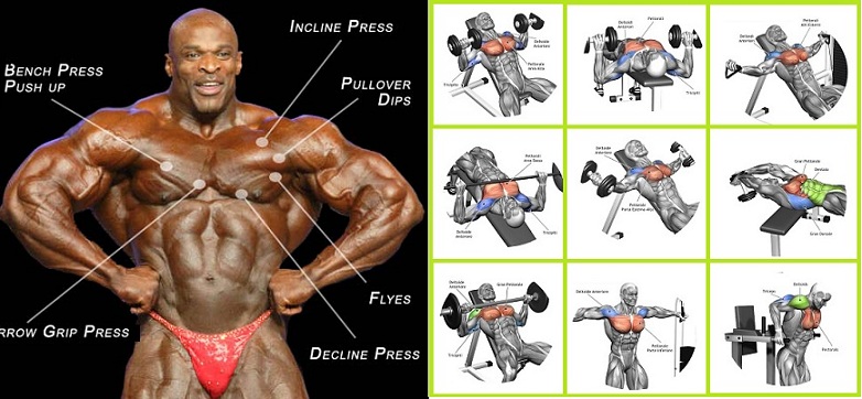 Best-Chest-Exercises-for-Developing-Full-Muscular-Pecs-1.jpg