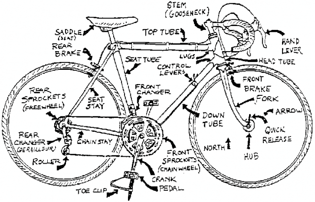 bikeanatomy.png