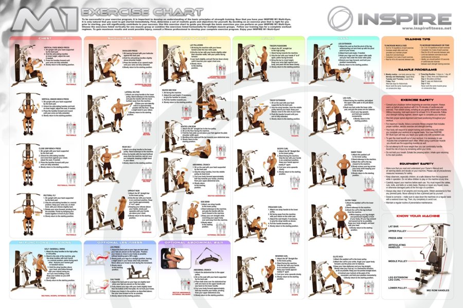 bowflex-workout-chart-free-download-unique-multi-gym-chart-wall-chart-72dpi-pirefitness-of-bow...jpg