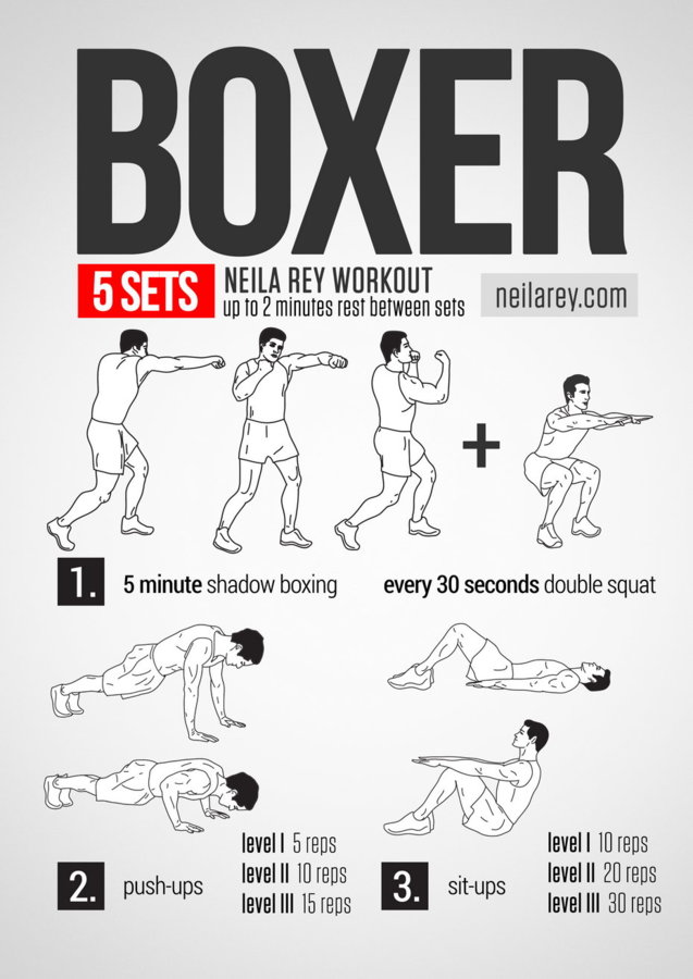 boxer-workout.jpg