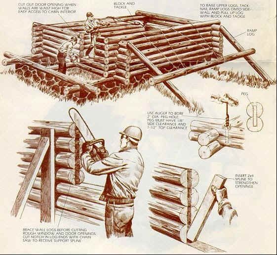 Build Your Own Log Cabin - Projects for men.jpg