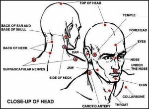 Can Pressure Points Kill_ Discover 5 Deadly Pressure Points on the Human Body that you likely ...jpg
