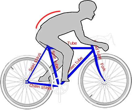 correct-bike-riding-posture3.gif