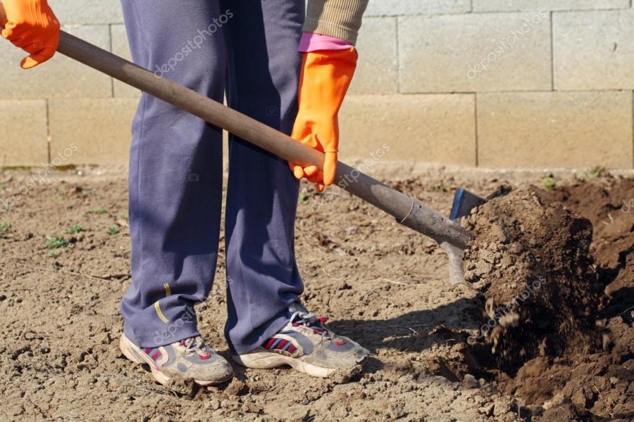depositphotos_20125871-stock-photo-digging-spring-soil-with-shovel.jpg