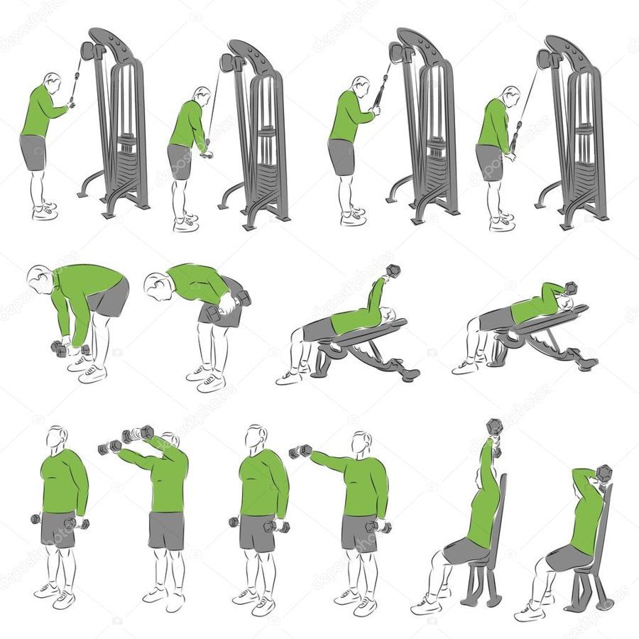 depositphotos_95407768-stock-illustration-set-of-systematic-bodybuilding-exercises.jpg