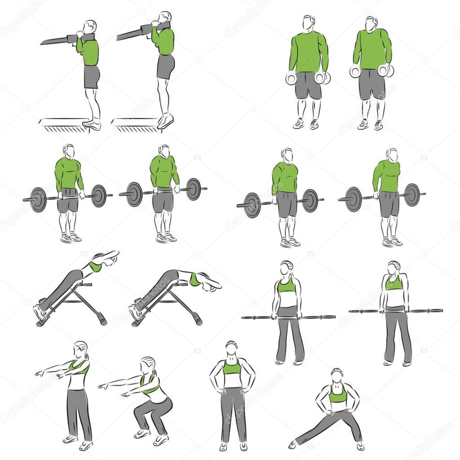 depositphotos_95407856-stock-illustration-set-of-systematic-bodybuilding-exercises.jpg
