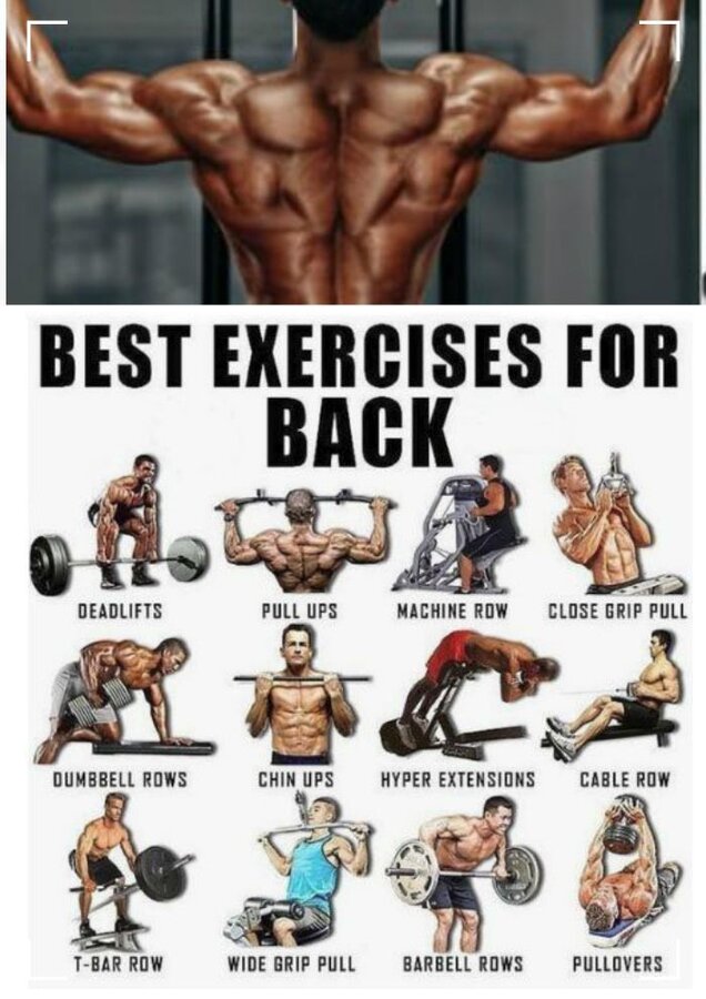 Fitness workout, fitness exercises, fitness programs, gym motivation, gym programs, bodybuildi...jpg