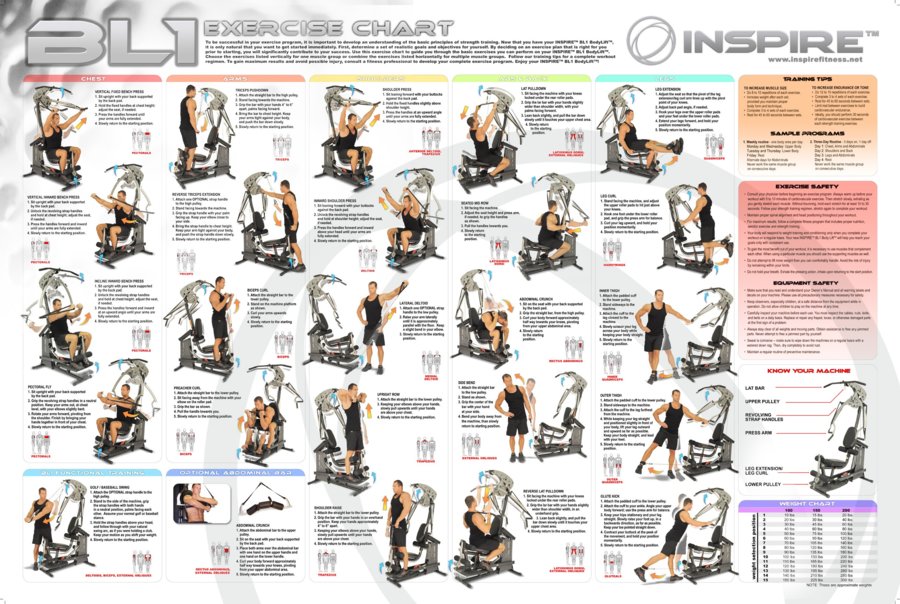 free-printables-multi-gym-exercise-chart-multi-gym-exercise-chart-multi-gym-exercise-plan-mult...jpg