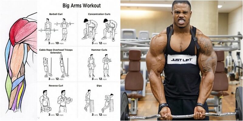 how-to-get-bigger-arms-3-steps.jpg