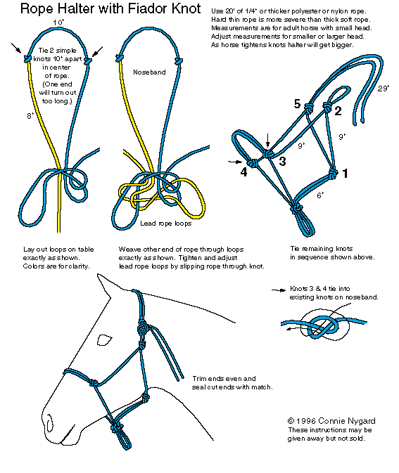 How to Tie a Halter.gif