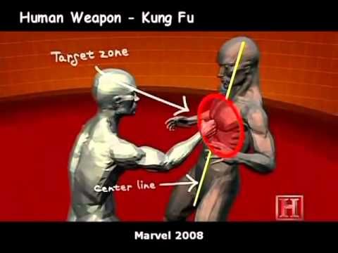 Human Weapon _ MMA, Kung Fu and sambo.jpg