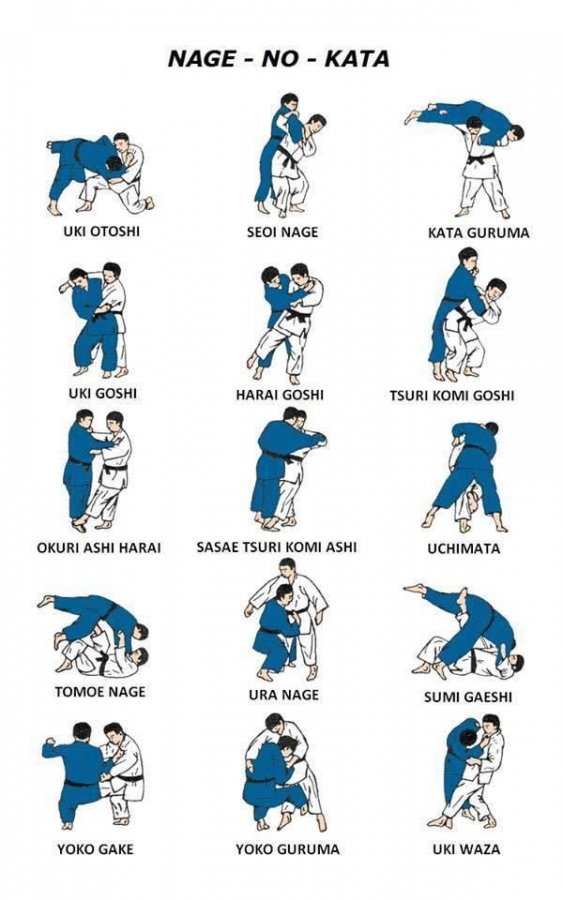 Juji Gatame _ I_ve got to study and practice this again_ time to.jpg
