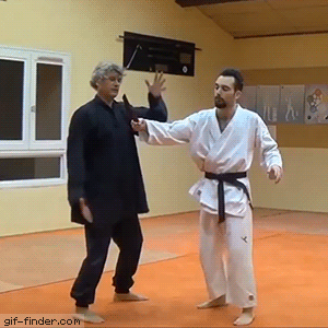 Karate-Fail.gif