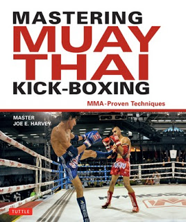 mastering-muay-thai-kick-boxing-1.jpg
