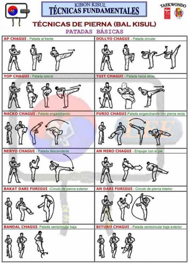 More Basic Chagi_s (Kicks) w_Korean Terminology & Images  tecnicas de pierna, chagui #kravmaga...jpg