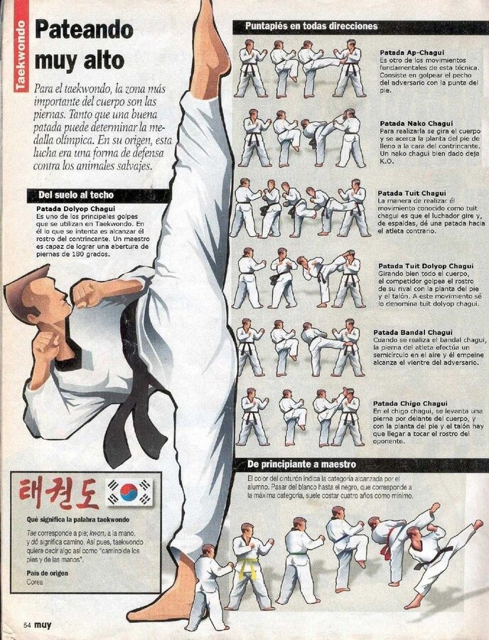 Que es el Taekwondo_ - Tkd-Col Hapkido, Aksiyon Pozları, Tai Chi, Egzersizler, Spor Salonu Egz...jpg