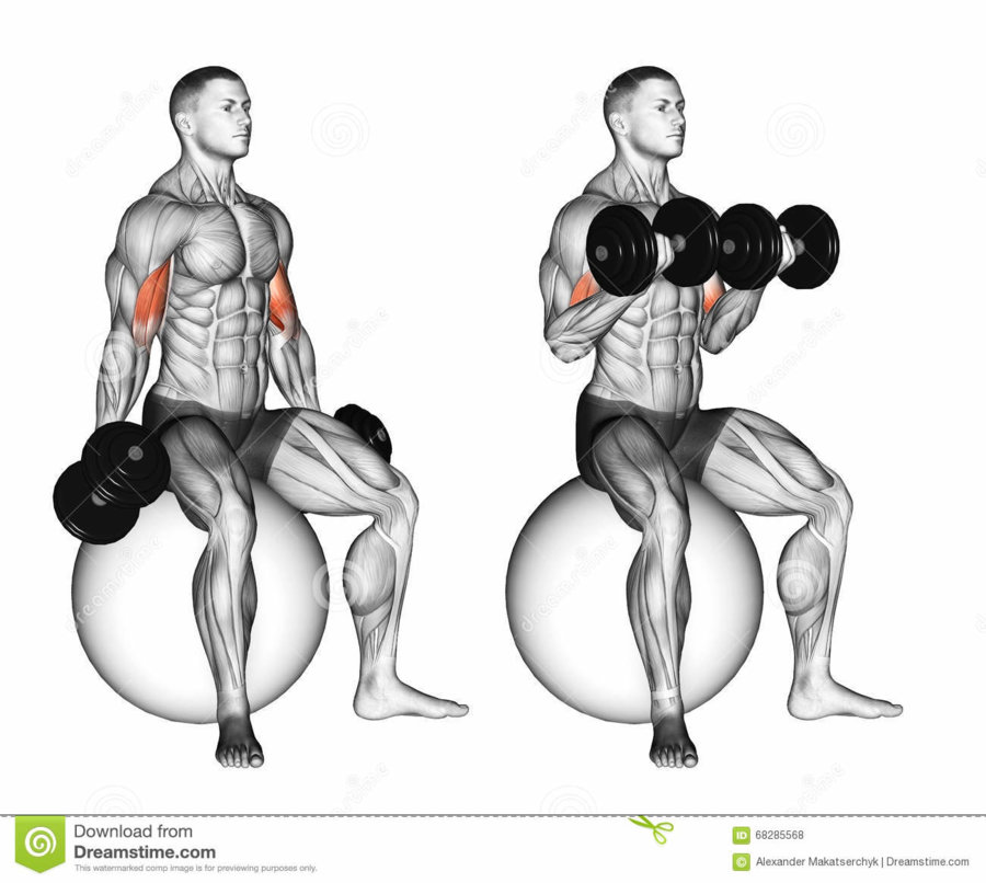 s-exercer-boucles-de-biceps-posées-sur-la-boule-de-stabilité-68285568.jpg