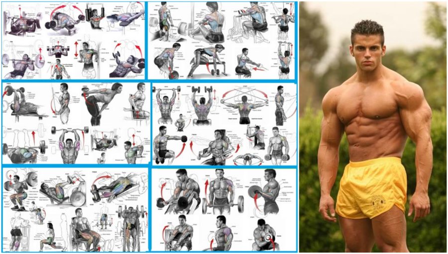 The-Top-Workout-Routines-to-Build-Muscle.jpg