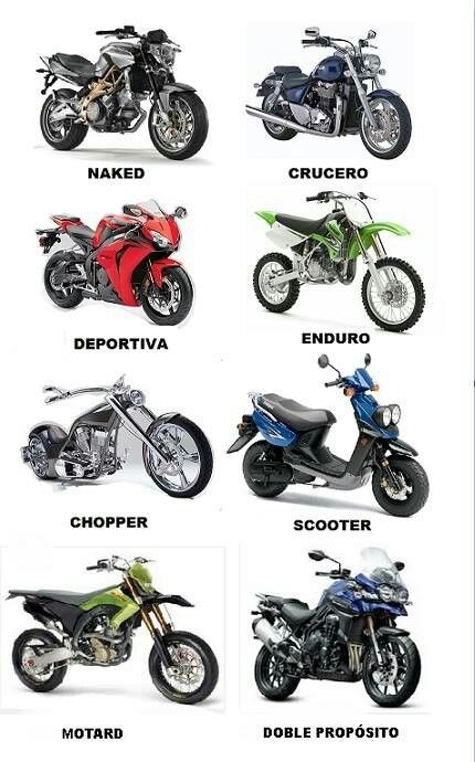 Tipos de moto - Tipos de moto  Informations About Tipos de moto Pin  You can easily use my pro...jpg