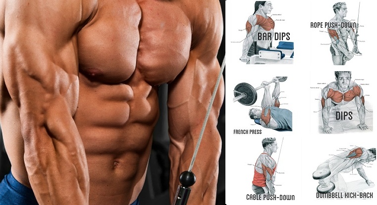 Tricep-Workout-–-Make-Your-Arms-Appear-Bigger.jpg