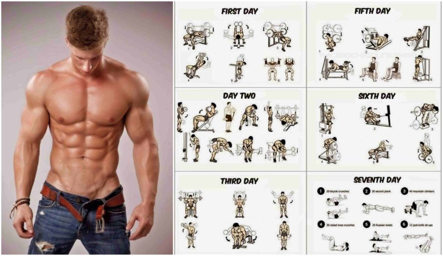 Weight-Training-Programs-to-Build-Muscle-and-Gain-Weight.jpg