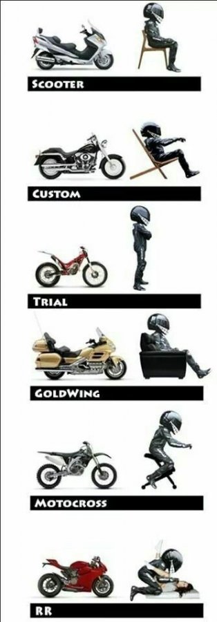 Whichever way you look at it, riding a bike is always beneficial to your well being! If you al...jpg