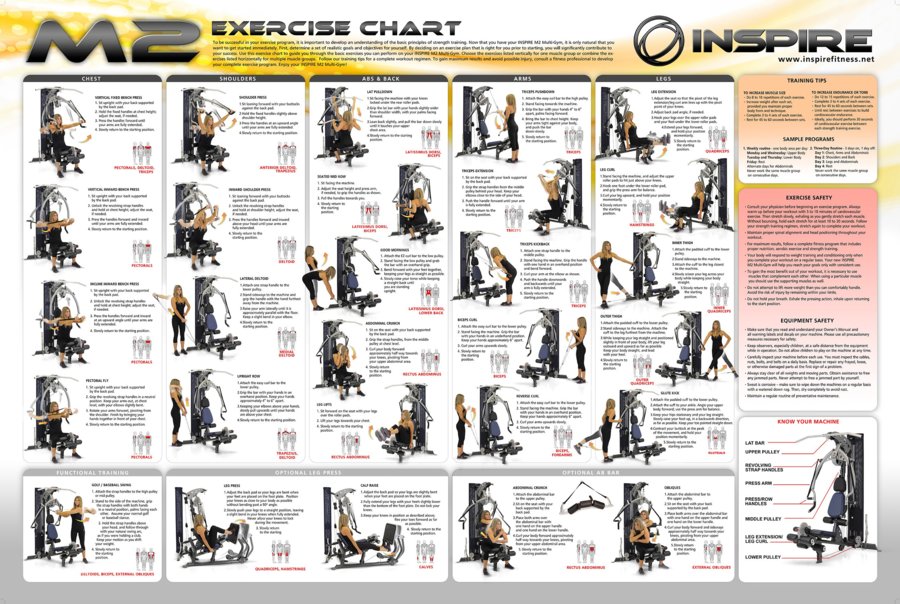 workout-poster-pdf-click-to-zoom-wallchart-5900a6ead42bb.jpg