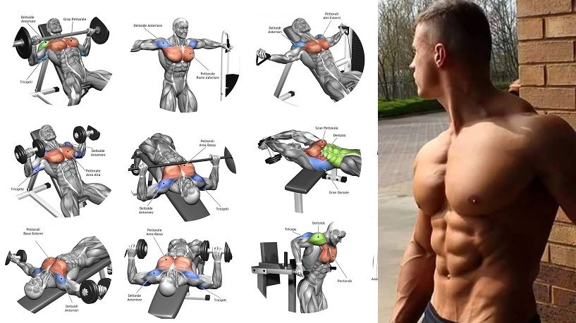 Workouts-For-Chest-Top-4-Exercises-For-Building-Mass.jpg