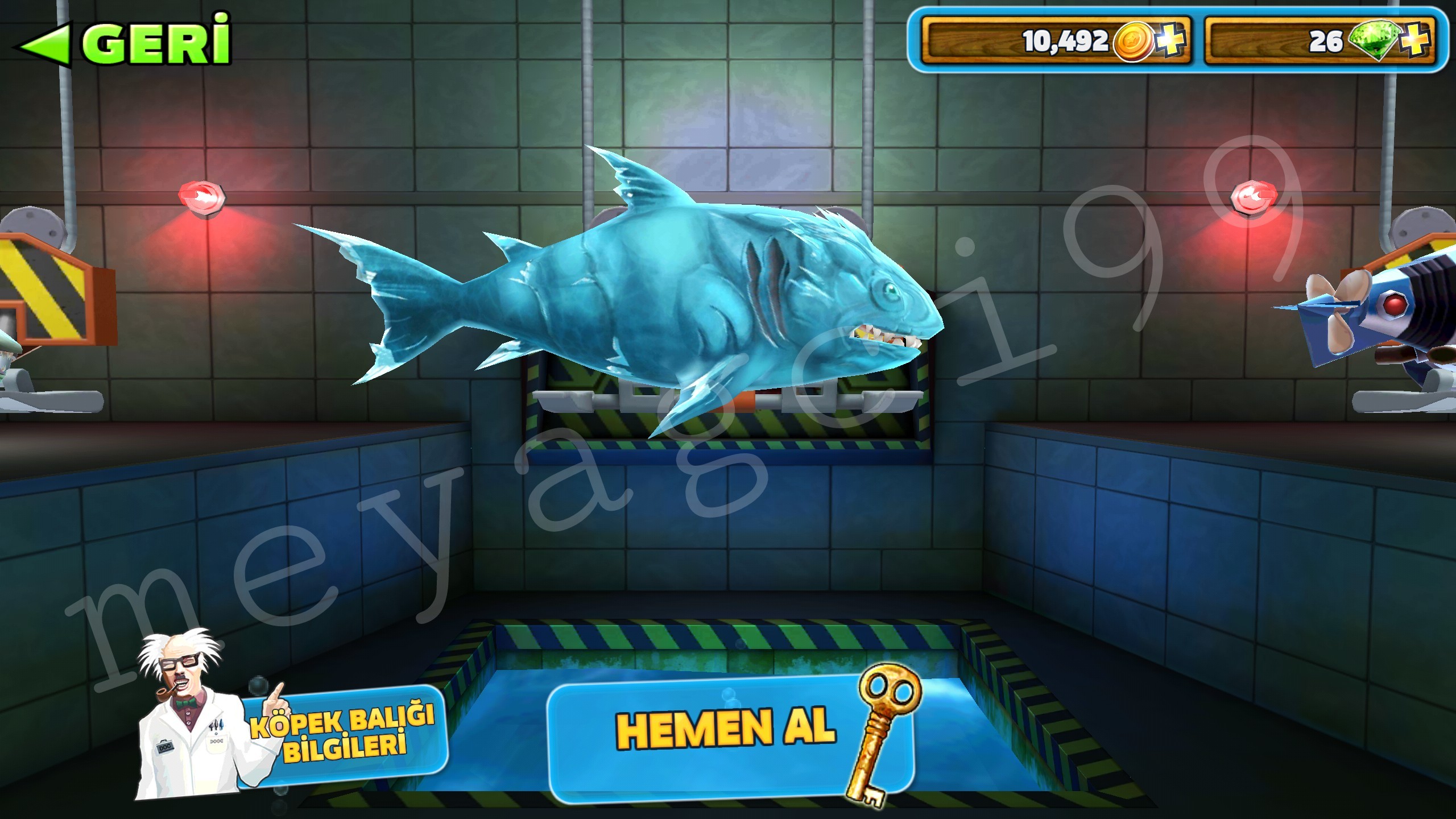 Hungry Shark Köpek Balığı Oyunu SDN Forum