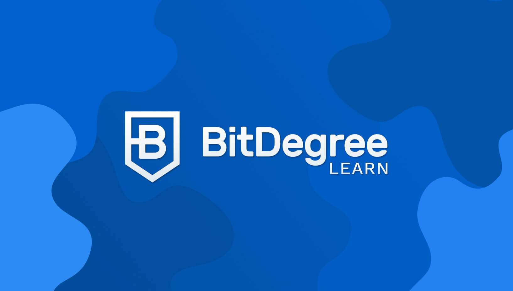 www.bitdegree.org