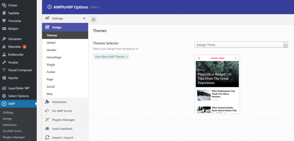 wordpress-amp-tasarim-ayarlari-1024x492.png