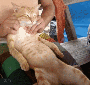 aog27erm_700wa_0-gif.5624
