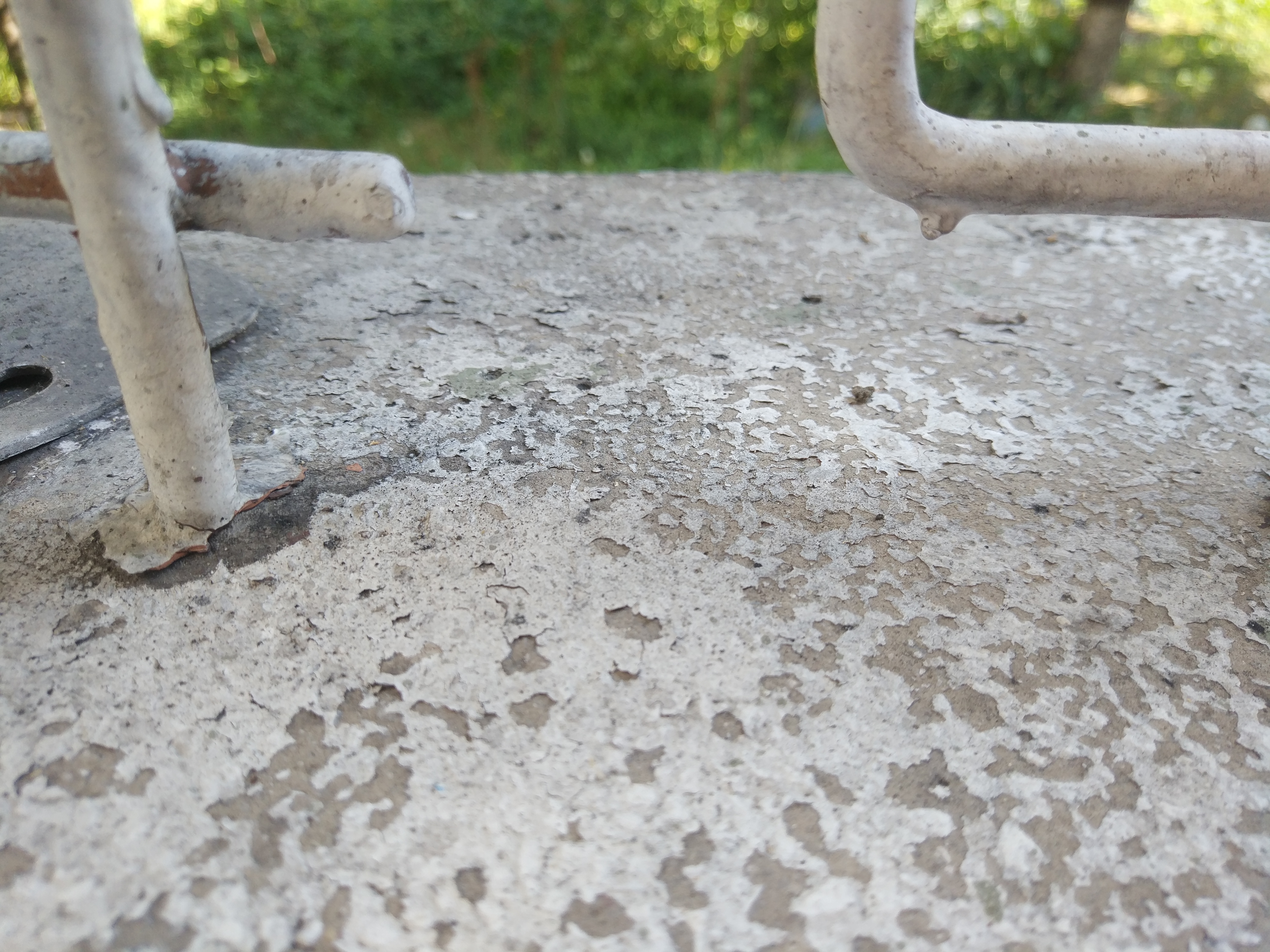 img_20170724_172332-jpg.25728