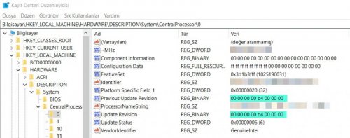 CPU Mikrokod Sürümü.jpg