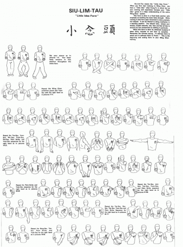 Wing Chun Techniques Wing Chun Martial Art Pinterest Wing Chun - 1143x1545 - gif.gif