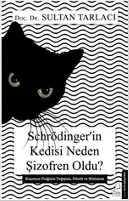 kedi.jpg