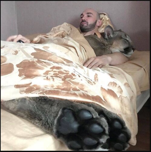 sevgilim beni terk etti.JPG