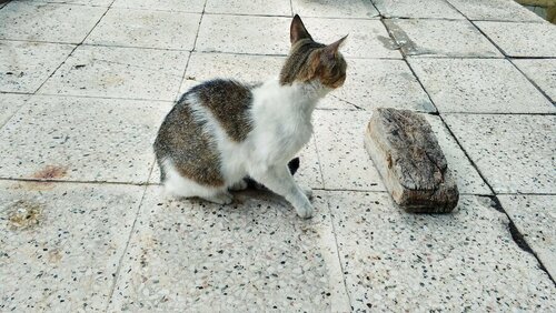 IMG_20180627_093830_HDR.jpg