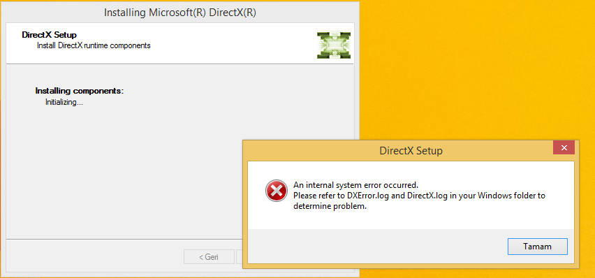 DirectX Sorunu.png