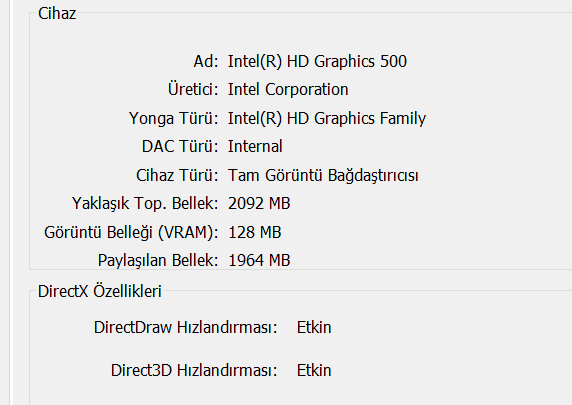 DirectX Tanı Aracı 5.01.2021 12_34_35 (2).png