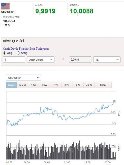 Dolar-TL.JPG